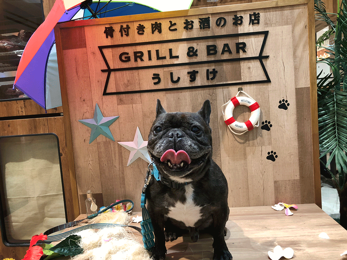 GRILL＆BAR うしすけ