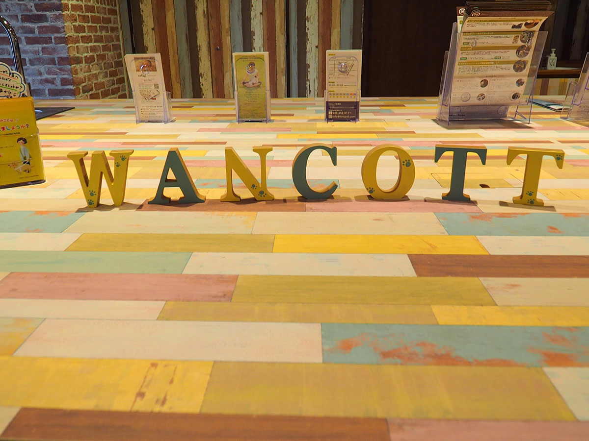 雨の日は横浜のWANCOTT