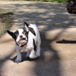 おやすみ、虎次くん