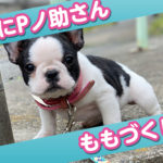 [YouTube]ももづくし！