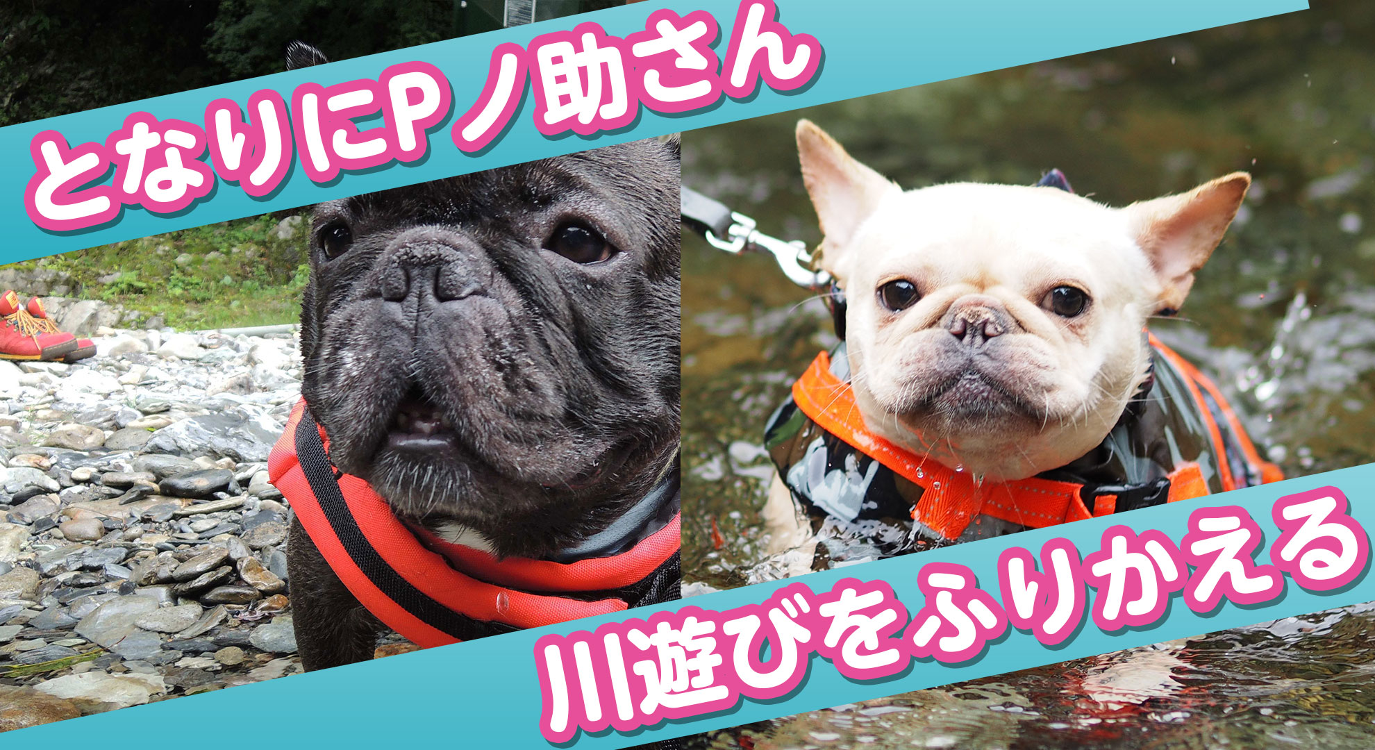 川遊びをふりかえる